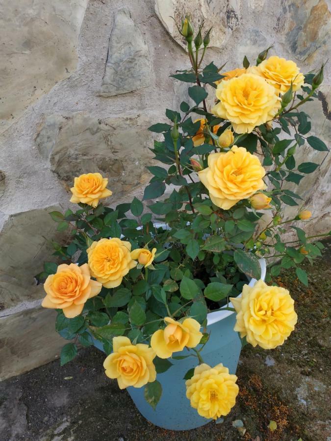El Olivar Caces 외부 사진